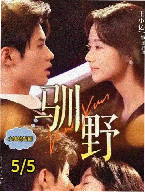 青春成长国产剧《风起南屿》海报